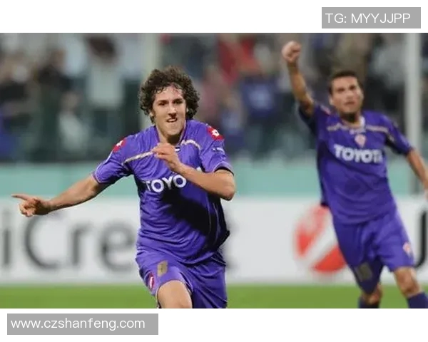 伤病阴影下的绿茵传奇：一位足球明星的崛起与陨落